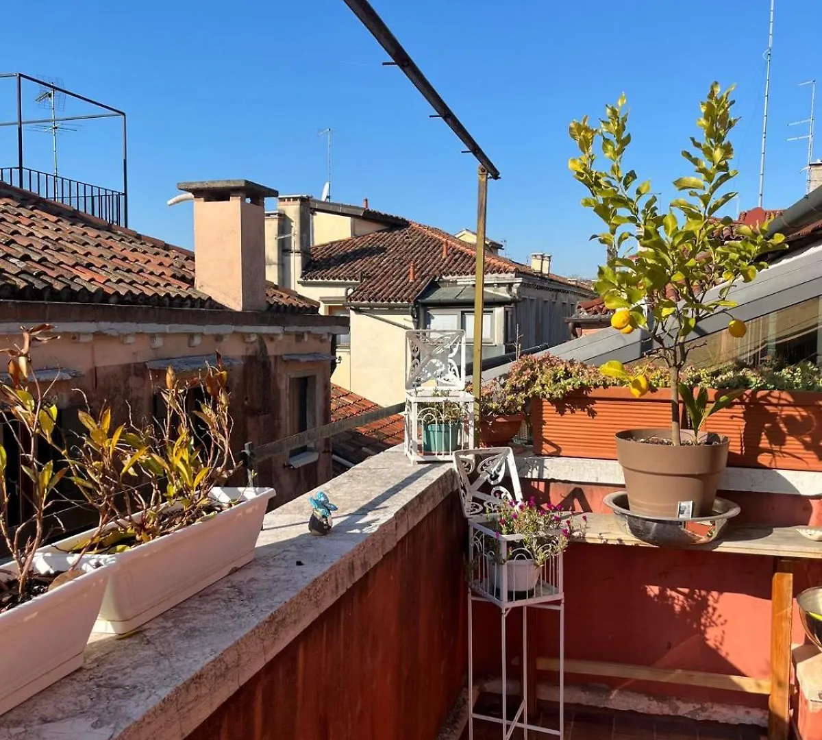 Ca' Morosini 1 & 2 Hotel Venice Guest house